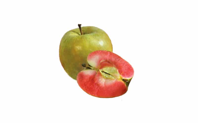 Organic Airlie Red Apple