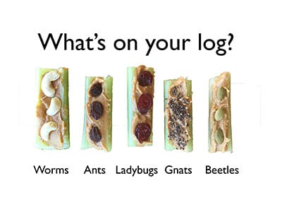 What's on your log